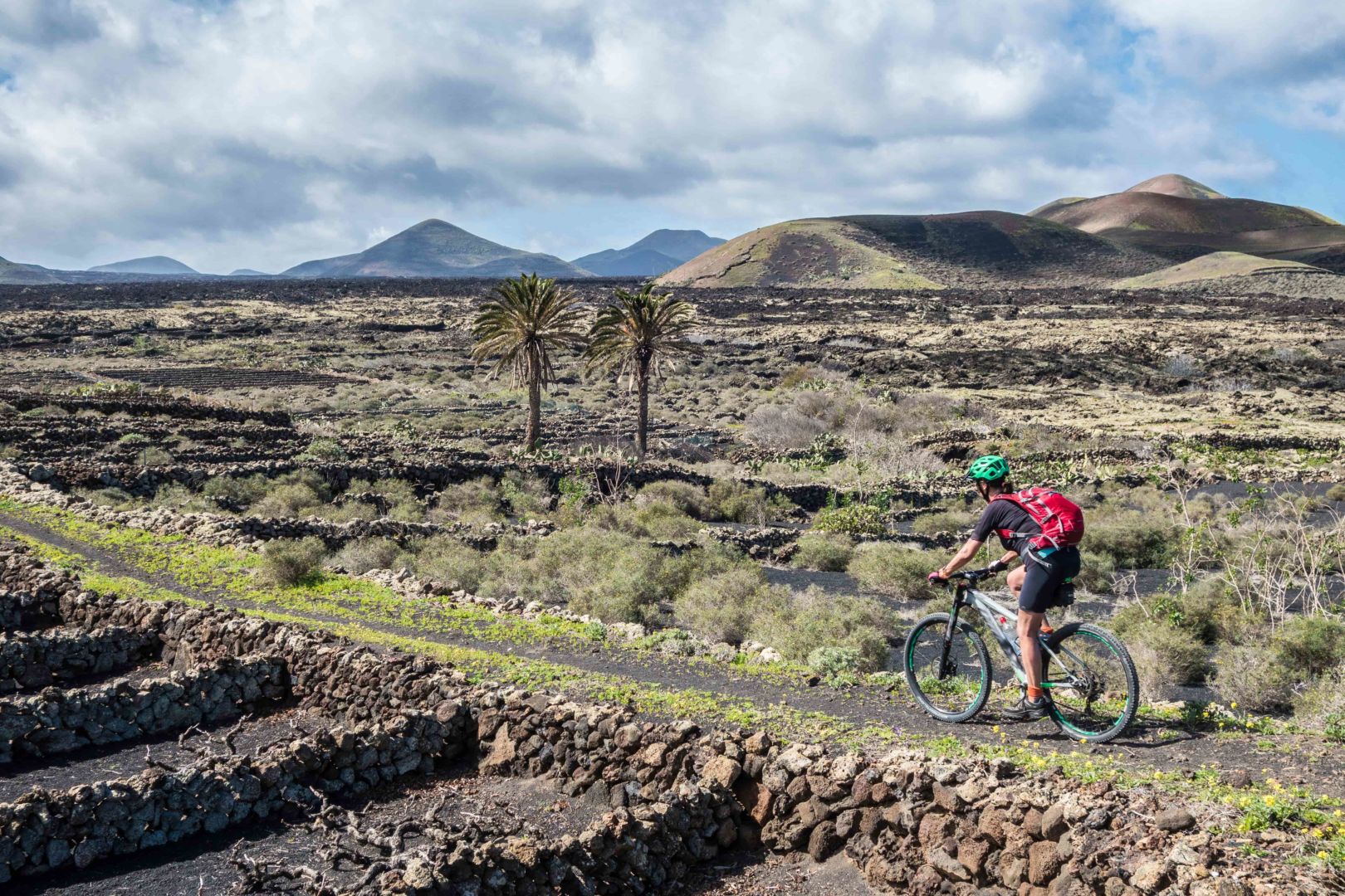 Desplazamientos en bicicleta